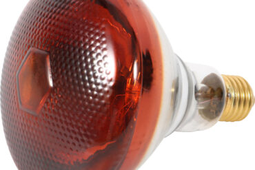 IR-lämpölamppu 250 W Punainen | | Adexa HLRI01